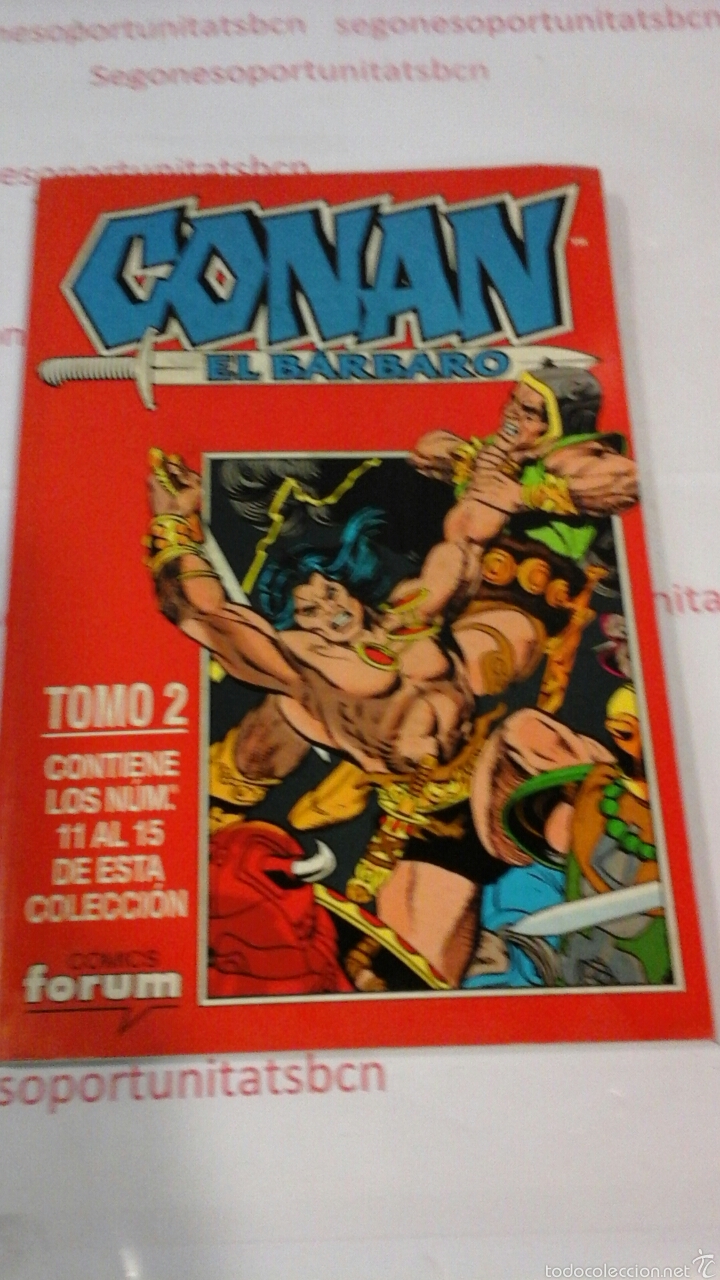 C&oacute;mics: CONAN EL B&Aacute;RBARO - TOMO 2 - FORUM - Foto 1