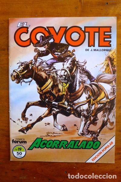 C&oacute;mics: EL COYOTE. 19 : Acorralado - Foto 1