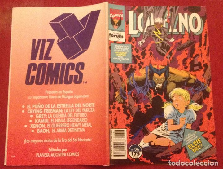 C&oacute;mics: LOBEZNO N&ordm; 36 - MARVEL - FORUM - BUENO - Foto 1