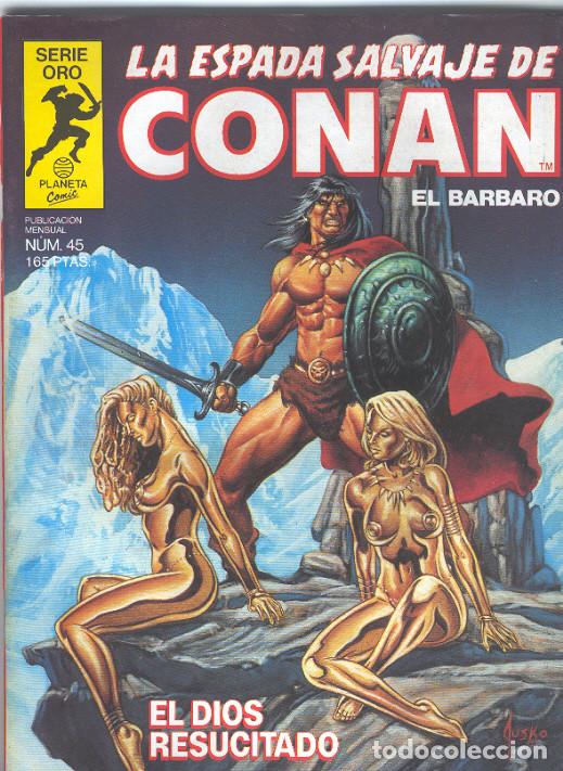 C&oacute;mics: La Espada Salvaje de Conan 1&ordf; edici&oacute;n. n&ordm; 45 - Foto 1