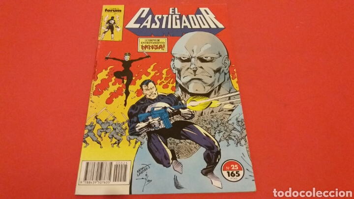 C&oacute;mics: EL CASTIGADOR 25 EXCELENTE ESTADO FORUM - Foto 1