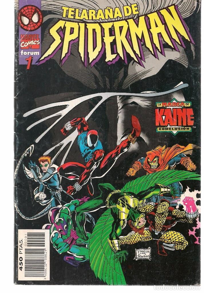 C&oacute;mics: TELA DE ARA&Ntilde;A DE SPIDERMAN.  N&ordm; 1.  FORUM.(C/A59) - Foto 1