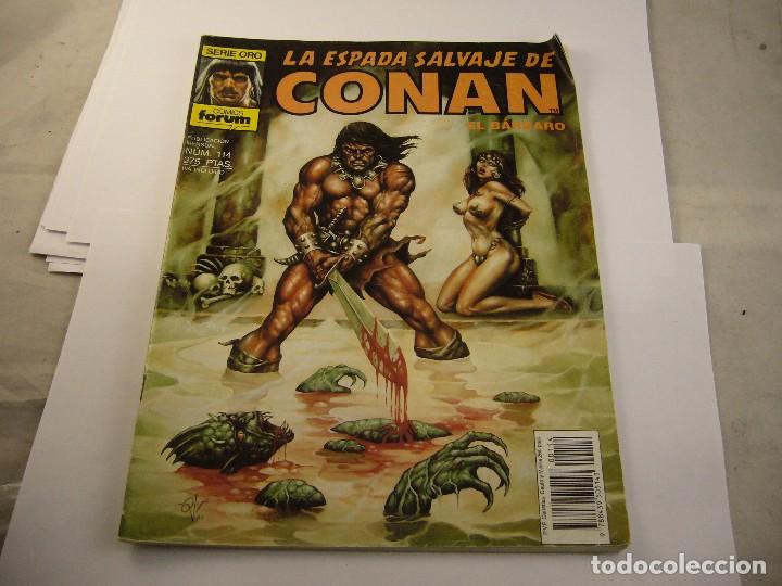 C&oacute;mics: LA ESPADA SALVAJE DE CONAN N&ordm; 114 - Foto 1