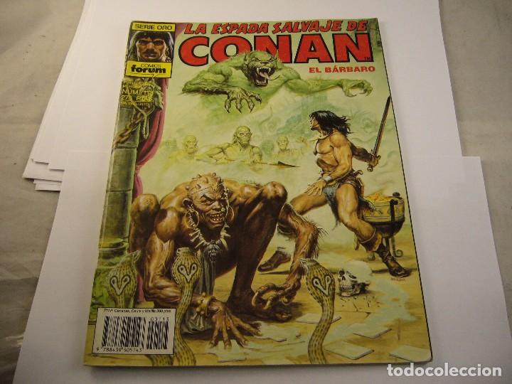 C&oacute;mics: LA ESPADA SALVAJE DE CONAN N&ordm; 113 - Foto 1