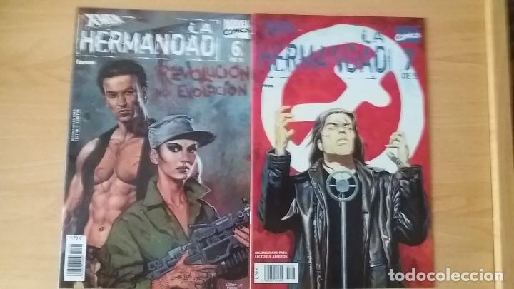C&oacute;mics: X-Men La Hermandad. Forum. 2002. Completa y en perfecto estado. - Foto 4