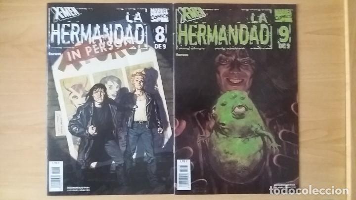 C&oacute;mics: X-Men La Hermandad. Forum. 2002. Completa y en perfecto estado. - Foto 5
