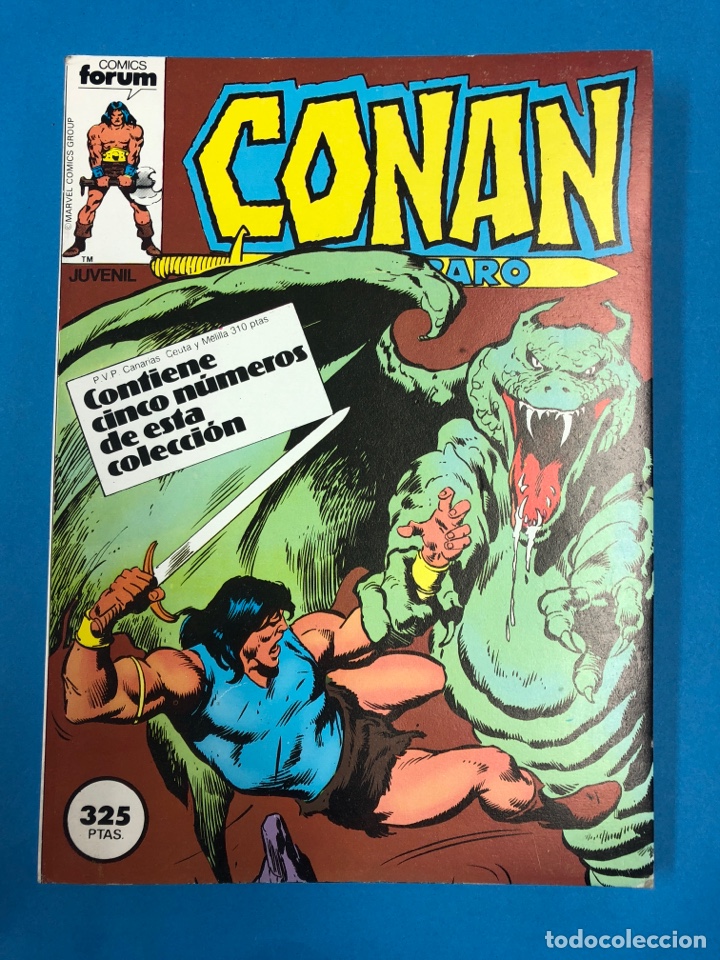 C&oacute;mics: CONAN EL B&Aacute;RBARO RETAPADO DEL 66 al 70 - Foto 1