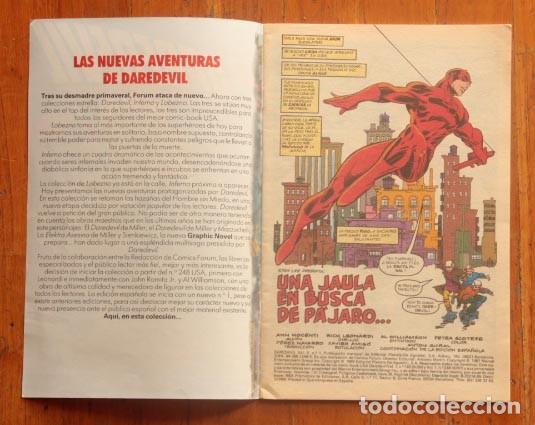 C&oacute;mics: COMIC DAREDEVIL. N&Uacute;M.1 -COMICS FORUM- - Foto 2