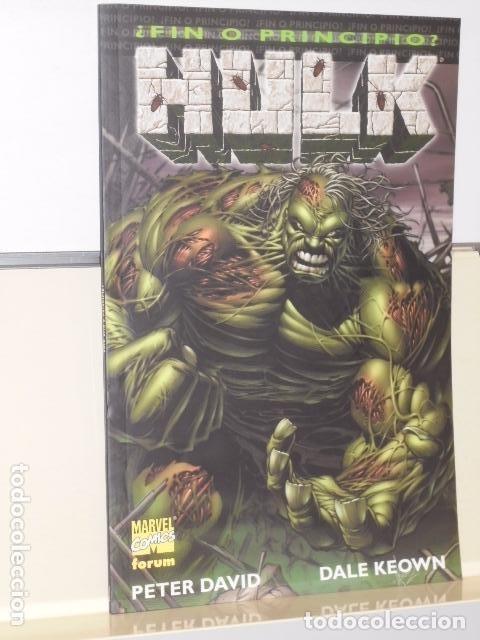 C&oacute;mics: HULK &iquest; FIN O PRINCIPIO? PETER DAVID - FORUM - - Foto 1