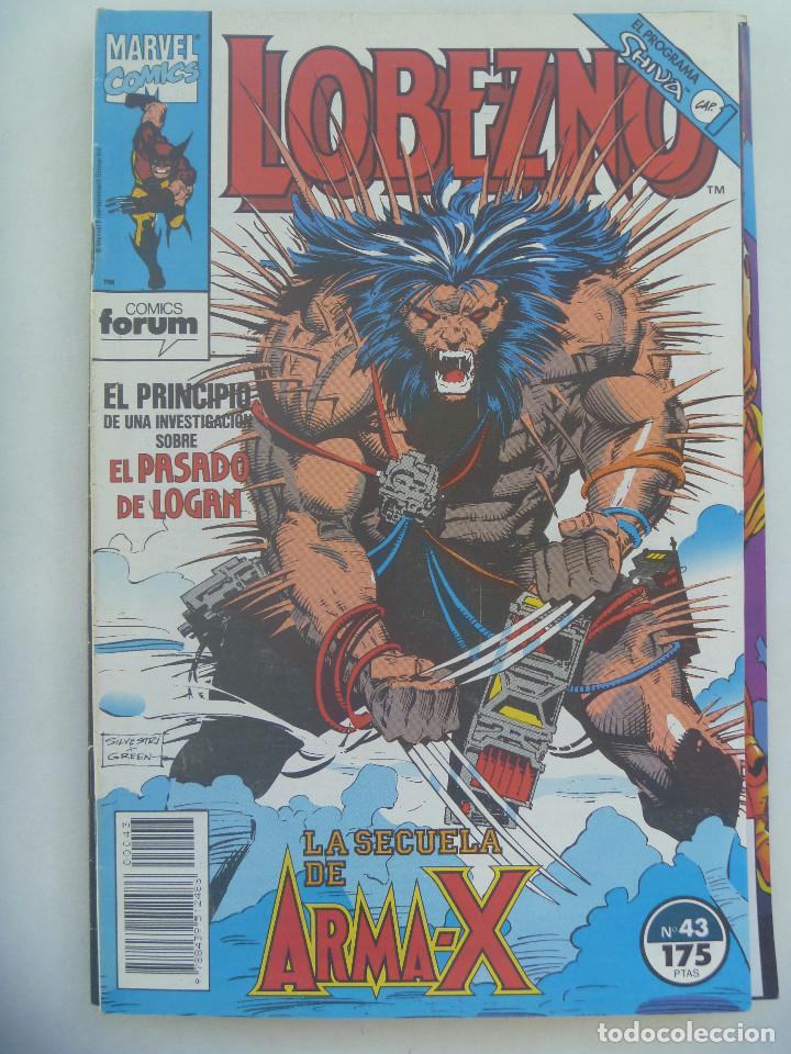 C&oacute;mics: MARVEL COMICS : LOBEZNO , N&ordm; 43 - Foto 1