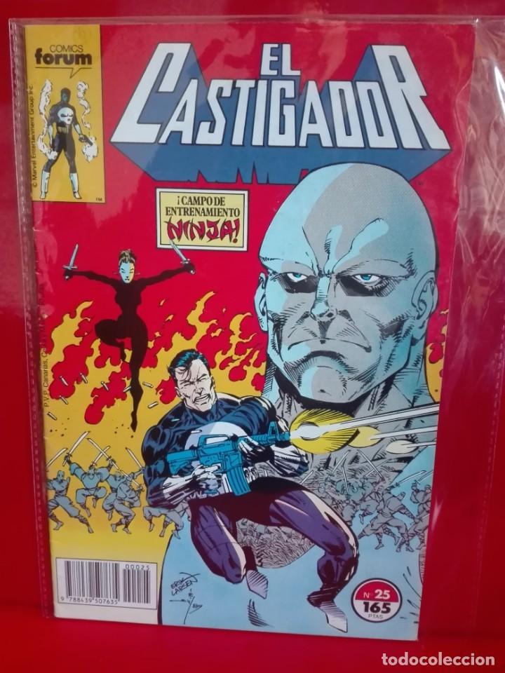 C&oacute;mics: EL CASTIGADOR 25 VOL. 1 # M - Foto 1