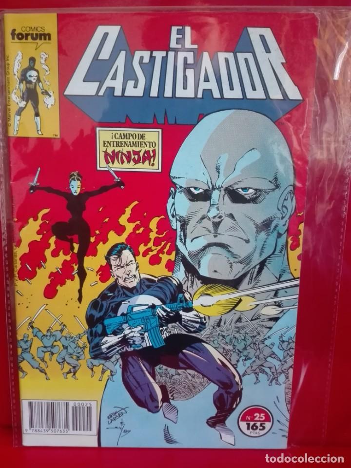 C&oacute;mics: EL CASTIGADOR 25 VOL. 1 # M - Foto 1