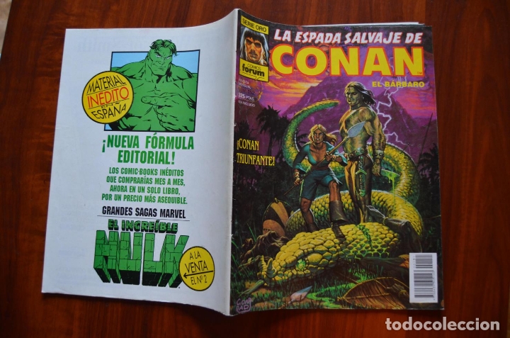 C&oacute;mics: Espada Salvaje de Conan 152 - Foto 2