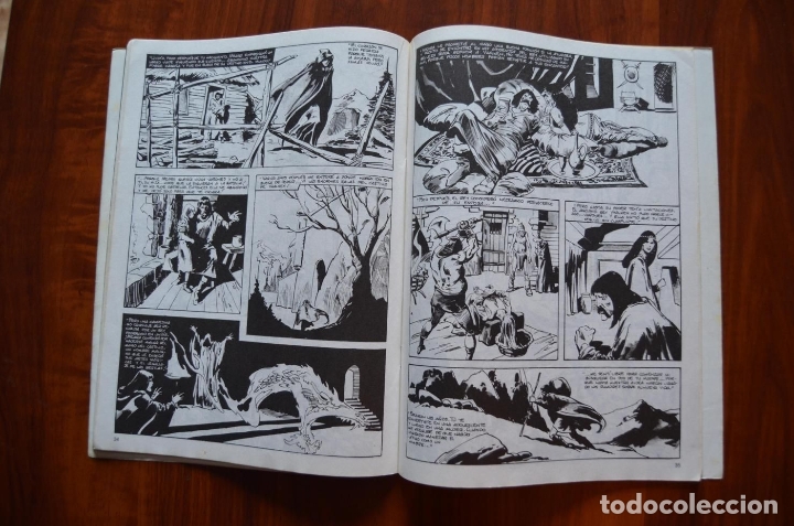 C&oacute;mics: Espada Salvaje de Conan 33 - Foto 3