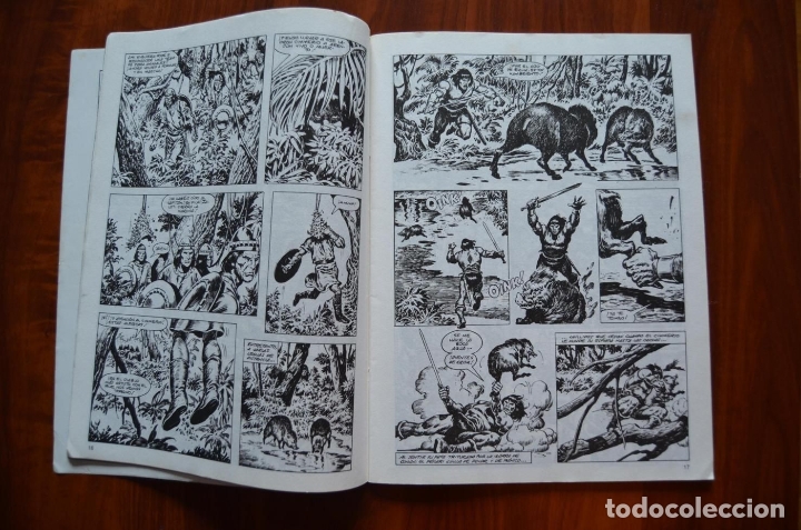 C&oacute;mics: Espada Salvaje de Conan 45 - Foto 3