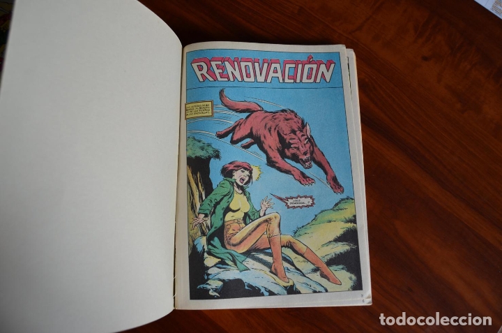 C&oacute;mics: Marvel H&eacute;roes especiales88 - Foto 4