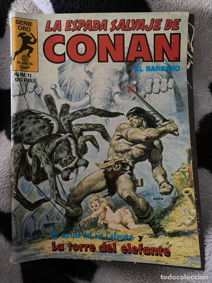 C&oacute;mics: La espada salvaje de Conan el b&aacute;rbaro n&uacute;mero 11 - Foto 1