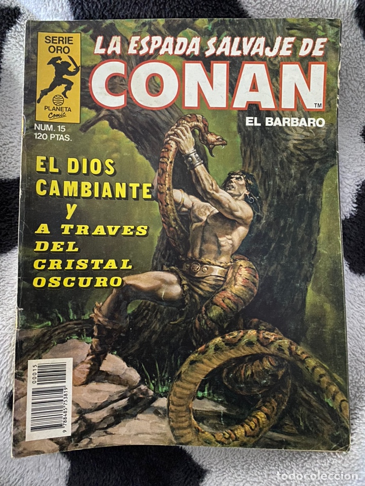 C&oacute;mics: La espada salvaje de Conan el b&aacute;rbaro n&uacute;mero 15 - Foto 1