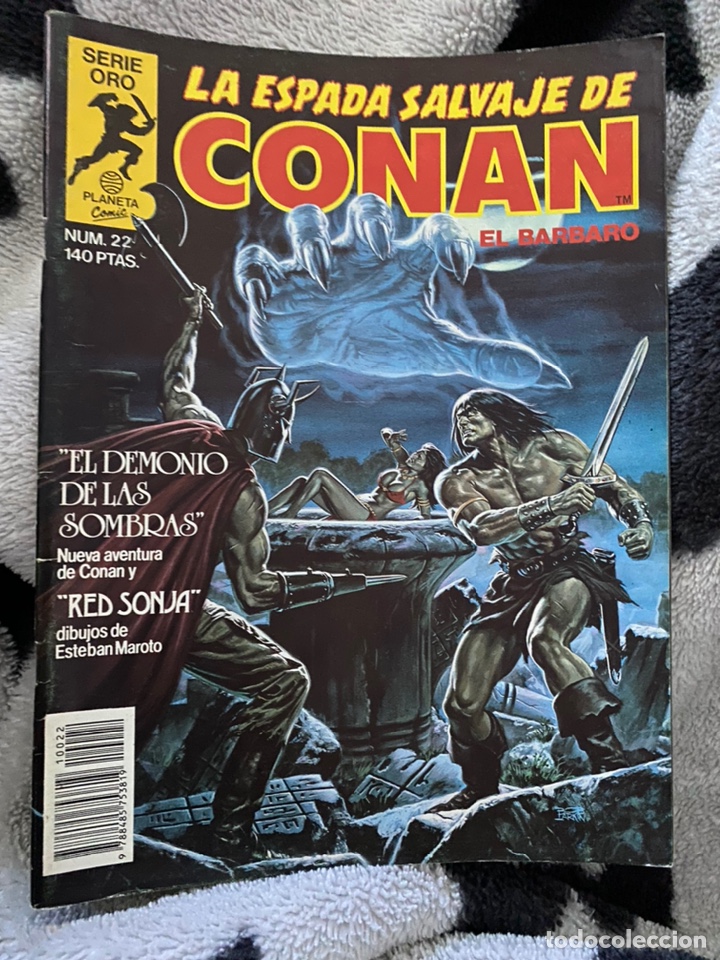 C&oacute;mics: La espada salvaje de Conan el b&aacute;rbaro n&uacute;mero 22 - Foto 1