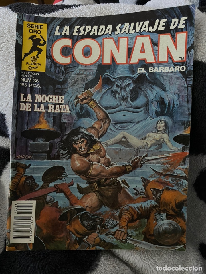 C&oacute;mics: La espada salvaje de Conan el b&aacute;rbaro n&uacute;mero 36 - Foto 1