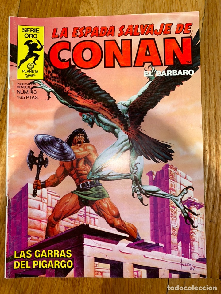 C&oacute;mics: La espada salvaje de conan el b&aacute;rbaro n&uacute;mero 43 - Foto 1