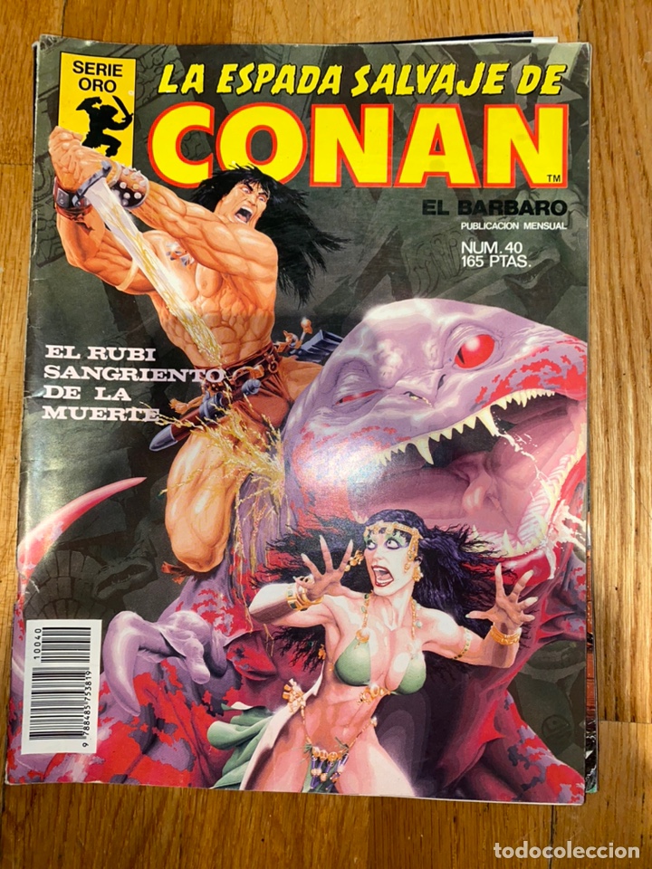 C&oacute;mics: La espada salvaje de conan el b&aacute;rbaro n&uacute;mero 40 - Foto 1