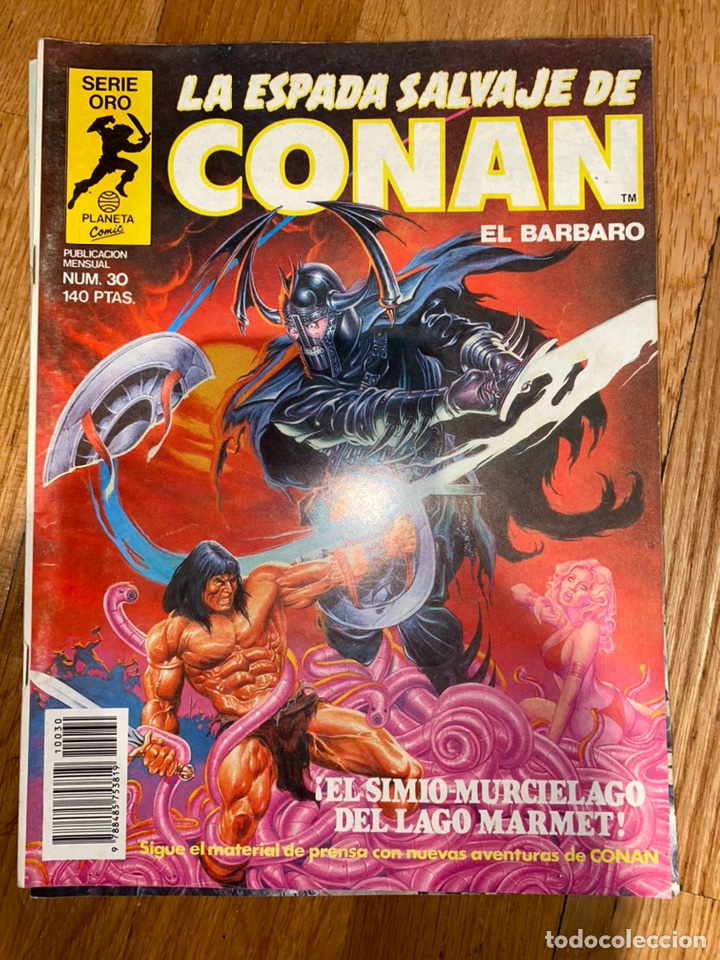 C&oacute;mics: La espada salvaje de conan el b&aacute;rbaro n&uacute;mero 30 - Foto 1