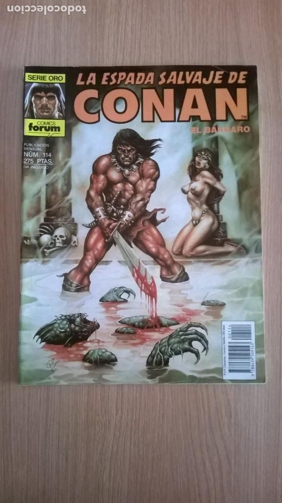 C&oacute;mics: Comic La espada salvaje de conan numero 114 - Foto 1
