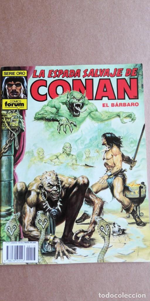 C&oacute;mics: La espada salvaje de conan n&deg; 113 - Foto 1