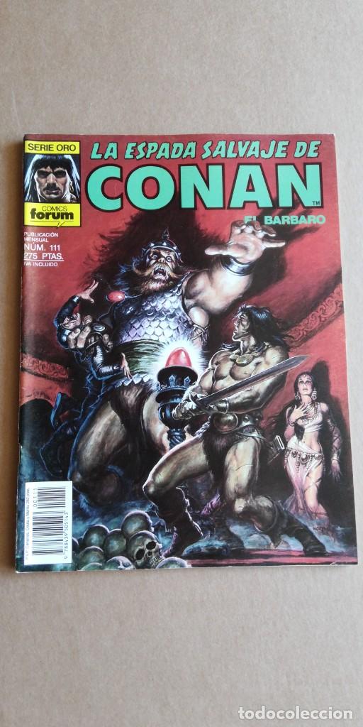C&oacute;mics: La espada salvaje de conan n&deg; 111 - Foto 1