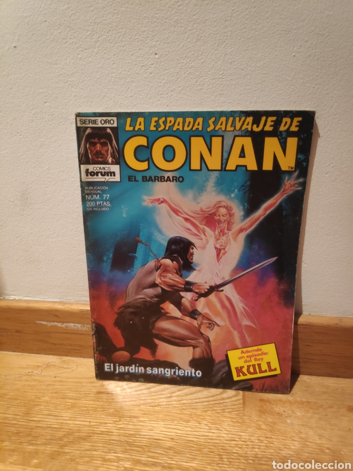 C&oacute;mics: La espada salvaje de Conan el b&aacute;rbaro 77 - Foto 1