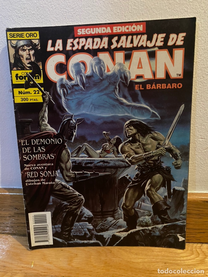 C&oacute;mics: La espada salvaje de Conan el b&aacute;rbaro n&uacute;mero 22 - Foto 1