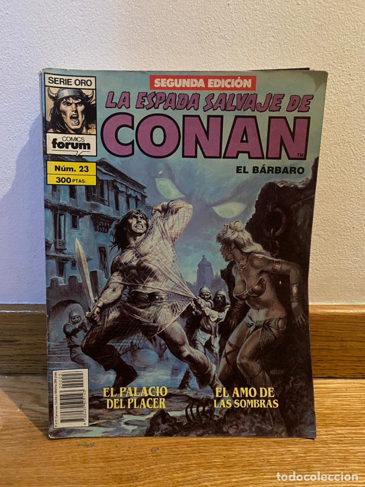 C&oacute;mics: La espada salvaje de conan el b&aacute;rbaro n&uacute;mero 23 - Foto 1
