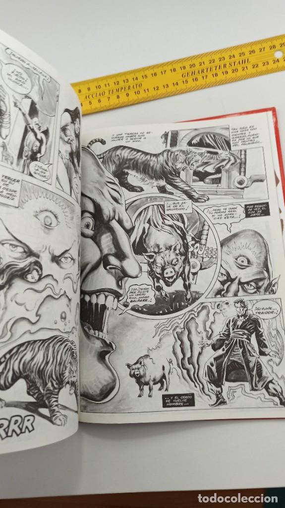 C&oacute;mics: CONAN TOMO 6 FORUM ENVIO CERTIFICADO GRATUITO - Foto 5