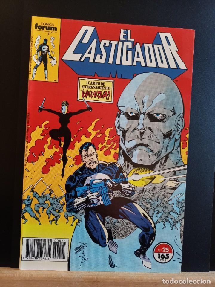 C&oacute;mics: EL CASTIGADOR N&ordm; 25 FORUM MARVEL - Foto 1