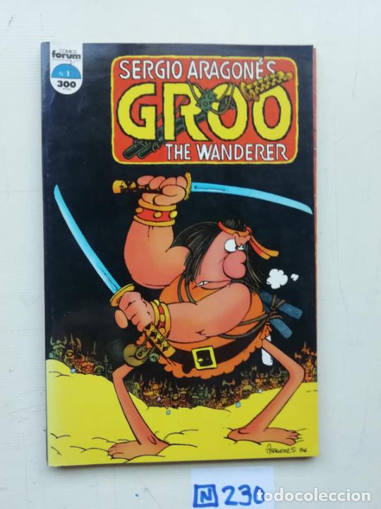 C&oacute;mics: Groo - Foto 1