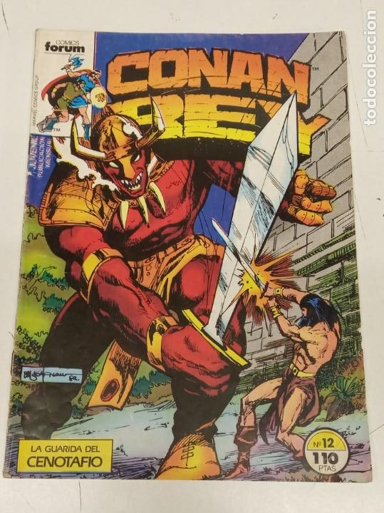 C&oacute;mics: CONAN REY N&ordm; 12 / MARVEL - FORUM - Foto 1