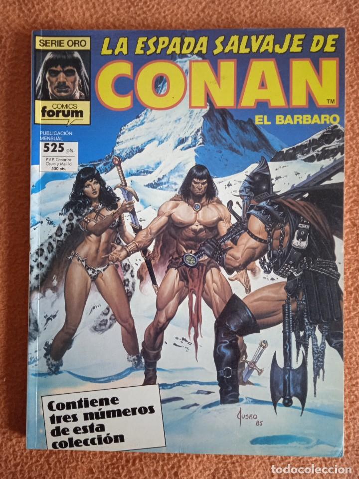 C&oacute;mics: LA ESPADA SALVAJE DE CONAN EL BARBARO 59-61 - Foto 1