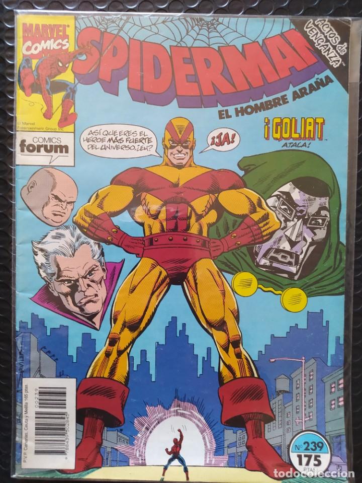C&oacute;mics: SPIDERMAN #239-1&ordf; EDIC.-FORUM-FN-BOLSA & BACKBOARD - Foto 1