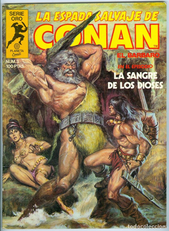 C&oacute;mics: Forum. La espada salvaje de Conan. 3 - Foto 1