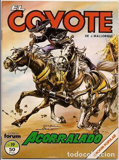 C&oacute;mics: Planeta. Forum. El coyote. 19. - Foto 1