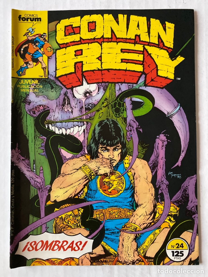 C&oacute;mics: CONAN REY #24 F&Ograve;RUM 1&ordf; edici&oacute;n - Foto 1