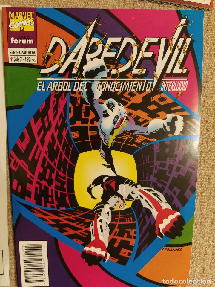 C&oacute;mics: Daredevil: El Arbol del conocimiento n&uacute;meros 1 al 7 (completa) - Foto 3
