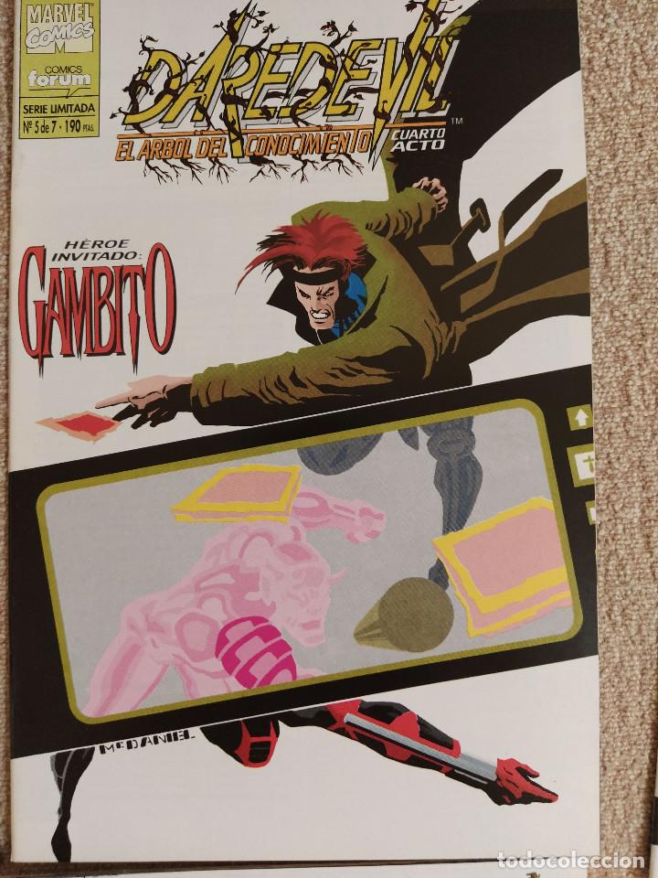 C&oacute;mics: Daredevil: El Arbol del conocimiento n&uacute;meros 1 al 7 (completa) - Foto 5