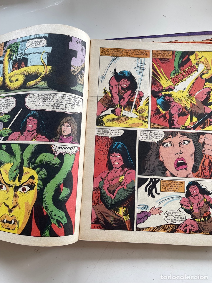 C&oacute;mics: Conan el B&aacute;rbaro - Foto 3