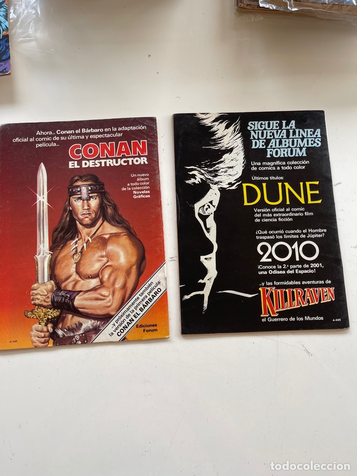 C&oacute;mics: Conan el B&aacute;rbaro - Foto 2