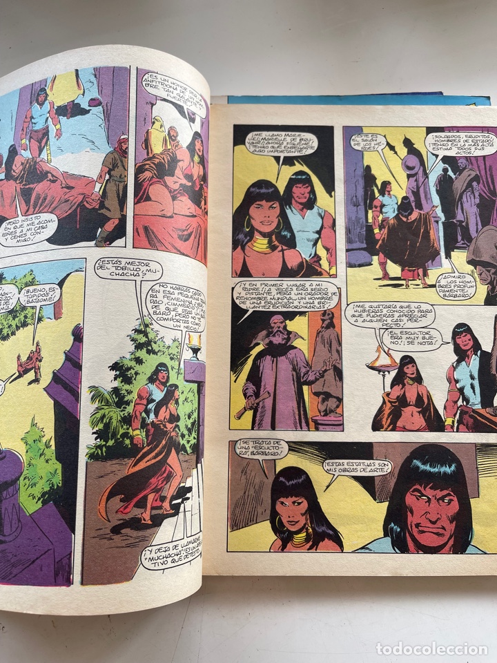 C&oacute;mics: Conan el B&aacute;rbaro - Foto 4