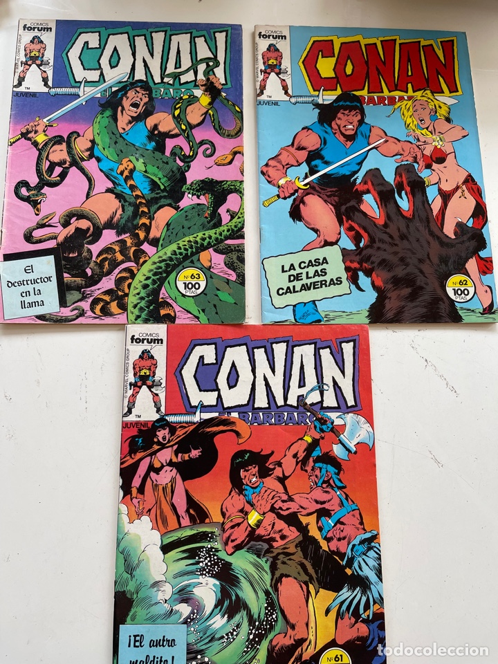 C&oacute;mics: Conan el B&aacute;rbaro - Foto 1