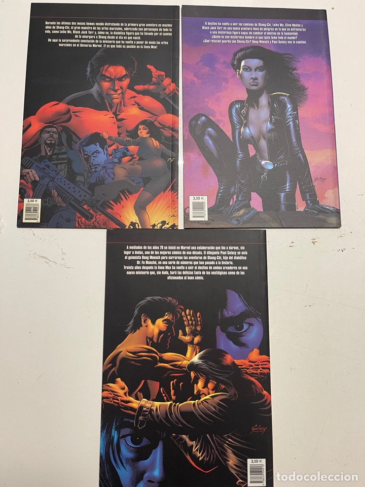 C&oacute;mics: Max Maestro de Kung Fu completa 3 n&uacute;meros - Foto 2