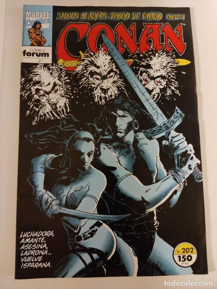 C&oacute;mics: CONAN EL B&Aacute;RBARO 1&ordf; EDICI&Oacute;N FORUM N&ordm; 202 - Foto 1